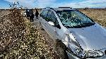 Хасково - село Войводово - автомобил удари кон