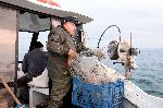 Варна - Риболов през ноември