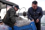 Варна - Риболов през ноември