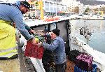 Варна - Риболов през ноември
