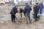 Видин - Разкопки на антична Бонония