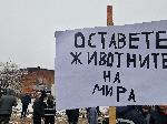 Велинград - фермери - протести заради чума по овцете