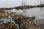 Ямбол - Производители на сладководна риба