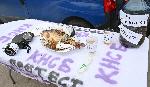 София - протест на еколози