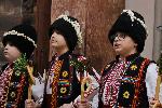 Плевен - Коледари в общината