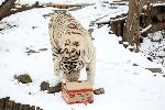 София - Коледни подаръци за животните в зоопарка