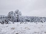 Троянски манастир - Зимна обстановка
