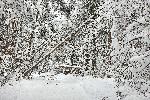 Село Плана, София - снеговалеж - електроснабдяване - ремонти на повреди по трасето