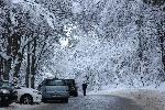 Зимна обстановка