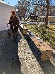 Плевен - Боклук след посрещане на Нова година