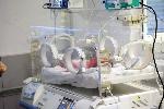 Момченце е първото бебе за 2025 година в АГ 'Шейново' в София