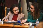 София - Заседание на парламентарната Комисия по конституционни и правни въпроси
