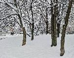 София – Сняг