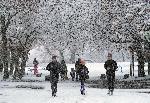 Хасково - Сняг