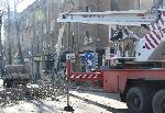 Бургас - подкастряне на дървета в центъра