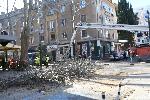 Бургас - подкастряне на дървета в центъра