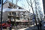 Бургас - подкастряне на дървета в центъра