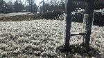 ВиК авария превърна плевенска улица в приказка