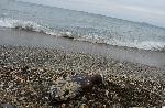Бургас - морски сувенир - бутилка украинска водка
