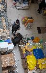 Плевен - Пчеларско изложение