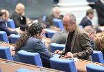София - Парламентарен контрол в Народното събрание