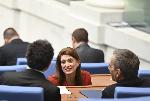 София - Парламентарен контрол в Народното събрание
