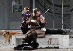 Варна - Класическа музика на улицатА <br />