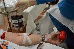 Варна -  Акция по кръводаряване „Капка любов“<br />
