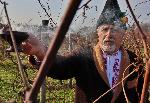 Плевен - Празник Трифон зарезан