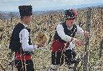 Село Свирачи, Ивайловград - Трифон Зарезан
