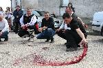 Село Свирачи, Ивайловград - Трифон Зарезан