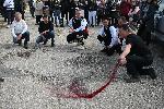 Село Свирачи, Ивайловград - Трифон Зарезан