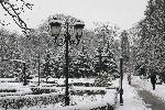 Зима в столичната Борисова градина