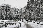 София - зима - Борисова градина