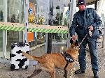 София -  Проверка на изоставен куфар - летище София