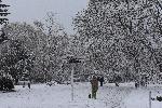 Варна - Сняг  във Варна