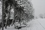 Бургас - Сняг- Зима