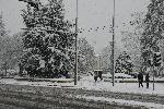 Бургас - Сняг- Зима