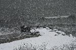 Бургас - Сняг- Зима