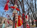 Плевен - Дървета мартеници