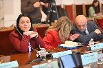 София - заседание на здравната комисия в парламента