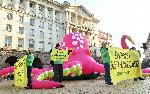 Розов октопод пред Министерския съвет призовава премиера да ратифицира Океанско споразумение