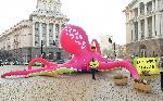 София - Акция на Грийнпийс- розов октопод пред МС