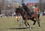 София – Тодоровден за конните полицаи