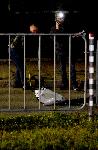 Варна  - Моторист  загина при  ПТП
