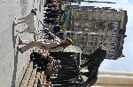 София – протест - задържани за умъртвяване на животни