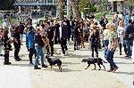 Бургас - Протестно шествие за защита на животните