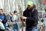 Бургас - Раздаване на плодни дръвчета