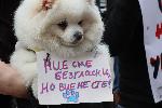 Перник - протест срещу изтезаването на животни