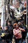 Варна  - Гларуси отмъква храна